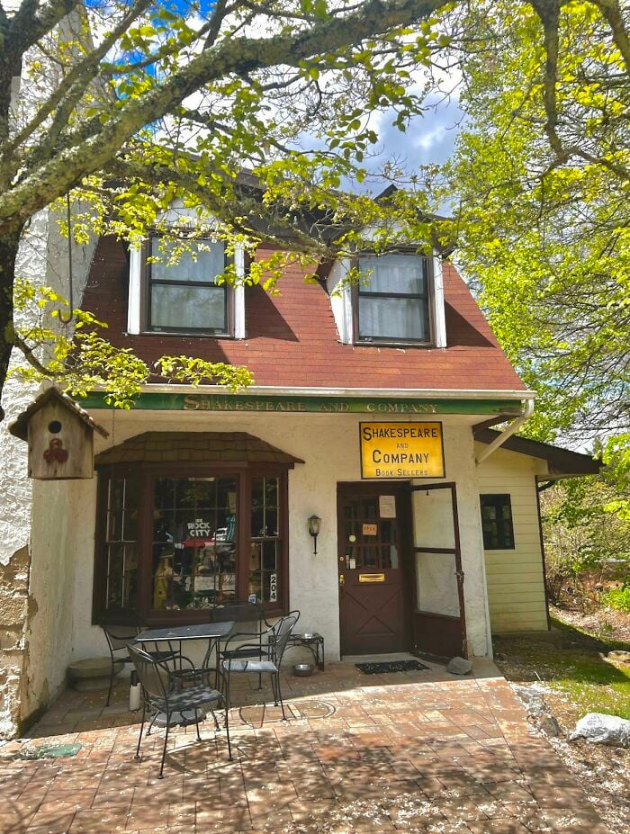 Cozy bookstore with outdoor seating surrounded by trees, showcasing a grandiose and magical library atmosphere.