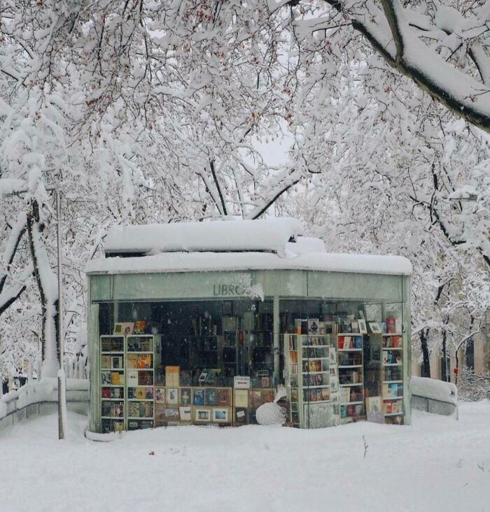 Snow-covered cozy library kiosk surrounded by frosted trees, showcasing books in a magical winter setting.