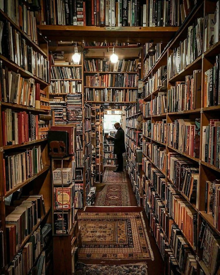 Cozy and grandiose library with tall wooden shelves filled with books and a person browsing in a magical bookstore setting.