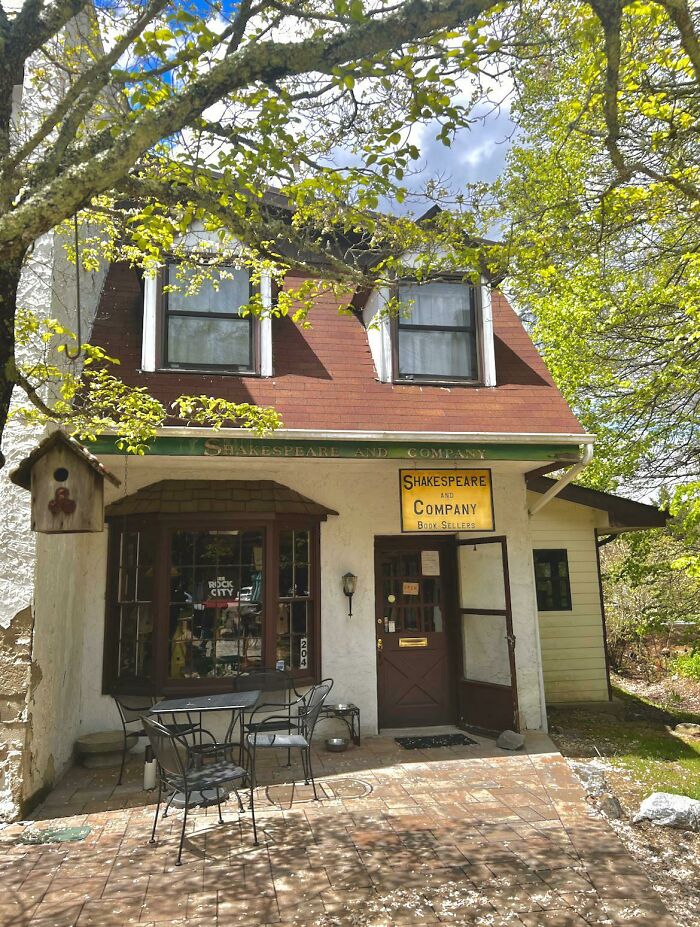 Cozy bookstore with outdoor seating surrounded by trees, showcasing a grandiose and magical library atmosphere.