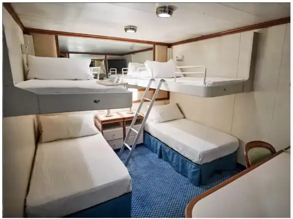 Employee Life Reality