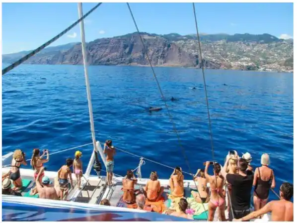 Excursion Expectations