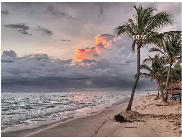 Port Of Call Expectations